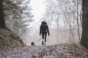 Backpacking with Your Dog